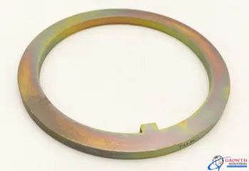 161A1312-1G WASHER-TANG,WHEEL RETENTION,MLG